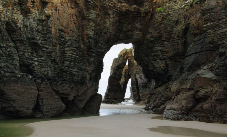 Как бесплатно посетить два самых знаменитых природных заповедника Галисии летом 2025 года: инструкция по бронированию