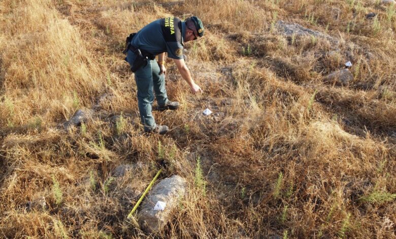 В Эстремадуре расследуют ущерб на шесть миллионов евро на археологическом объекте