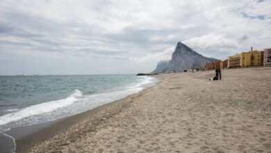 В провинции Кадис можно наблюдать уникальное природное явление — светящееся в темноте море благодаря биолюминесценции