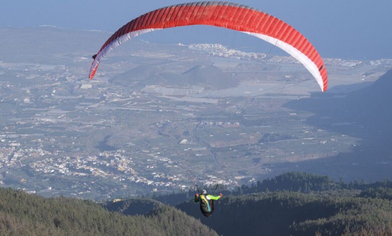 В Сеговии спасатели сняли парапланериста с дерева на высоте шести метров