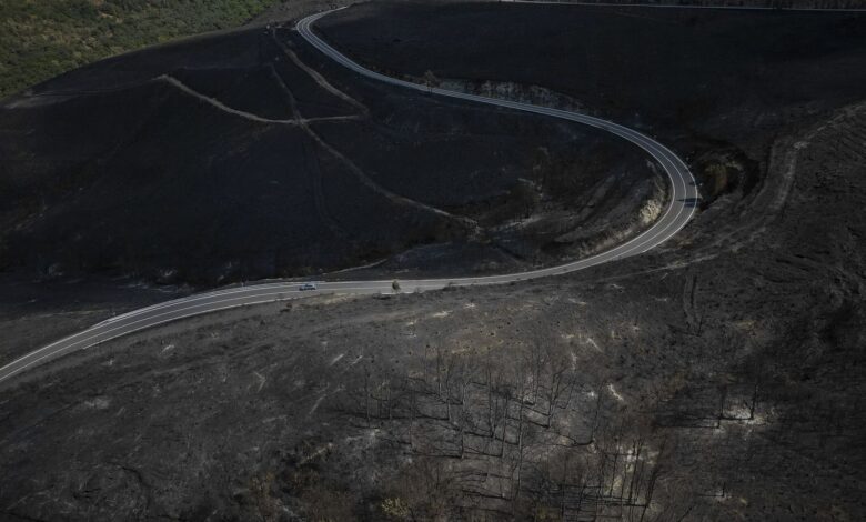 Как в Испании расследуют лесные пожары: работа огненных детективов