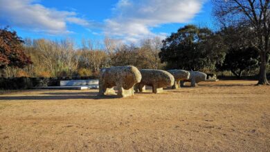 Эль-Тьембло в Авиле: уникальное путешествие к загадочным Быкам Гисандо и вековым лесам Кастилии-и-Леона