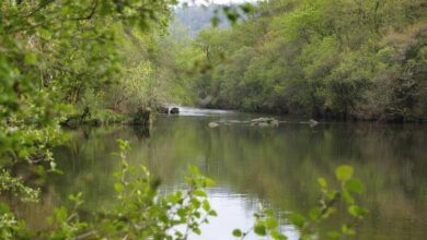 Пешеходный маршрут в Ла-Корунье: тропа вдоль реки Улья с водопадом