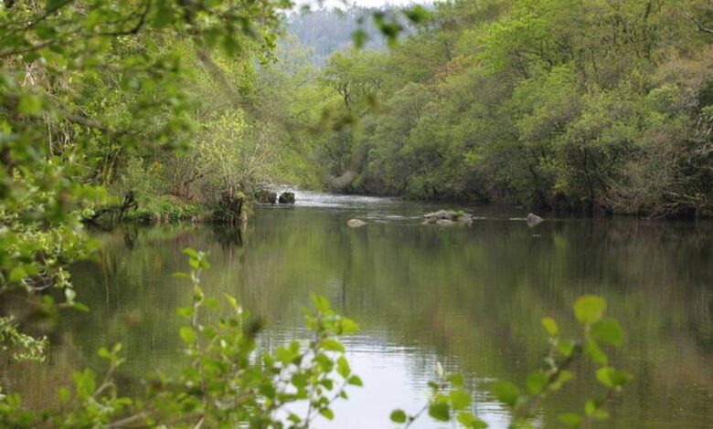 Ruta senderista en La Coruña: sendero junto al río Ulla con cascada, bosques y antiguas ruinas.