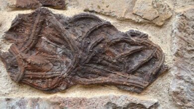 Монсагро: испанская деревня в горах