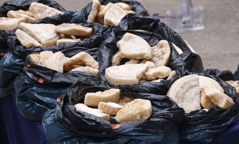 В Мадриде осудили группу колумбийских наркоторговцев за отправку MDMA в Колумбию