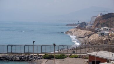 Попытка массового пересечения границы в Сеуте: десятки мигрантов задержаны на рассвете