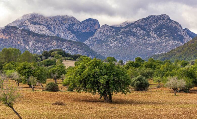 Mallorca Unveils New Four-Day Cycling Route Through the Most Scenic Spots of the Serra de Tramuntana Mountains