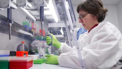 Испанские ученые нашли способ ускорить сжигание калорий бурым жиром