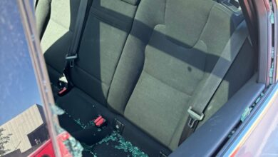 В Мадриде воры используют сканеры лития для кражи техники из авто