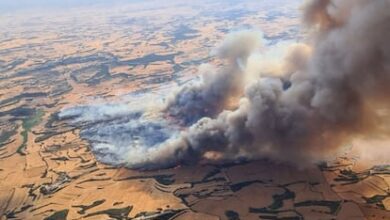 Каталония направит 75 миллионов евро на защиту жилых районов от лесных пожаров