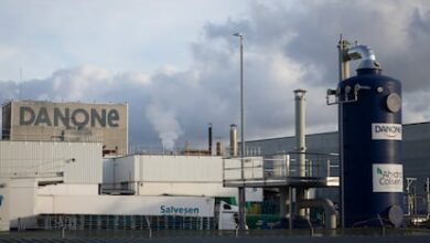 Danone вложила 60 миллионов евро в инновационный центр в Альдайе