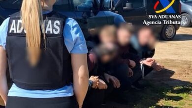 В Севилье раскрыта сеть подпольных табачных фабрик с ущербом в десятки миллионов евро