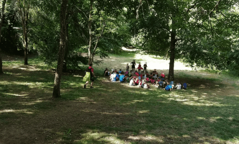 Организаторы лагерей в Бернедо объяснили суть совместных душевых для подростков