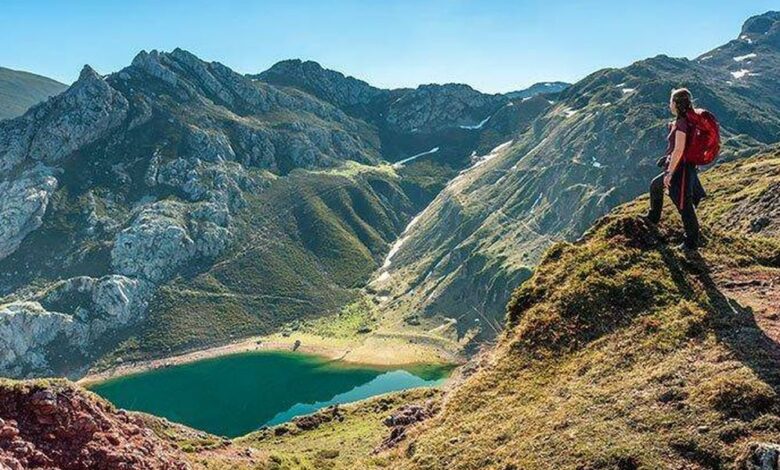 Somiedo Natural Park in Asturias: A Unique Place to See Brown Bears in the Wild