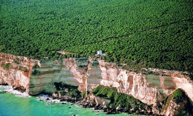 Unique Nature Reserve in Cádiz – National Geographic’s Autumn Recommendation