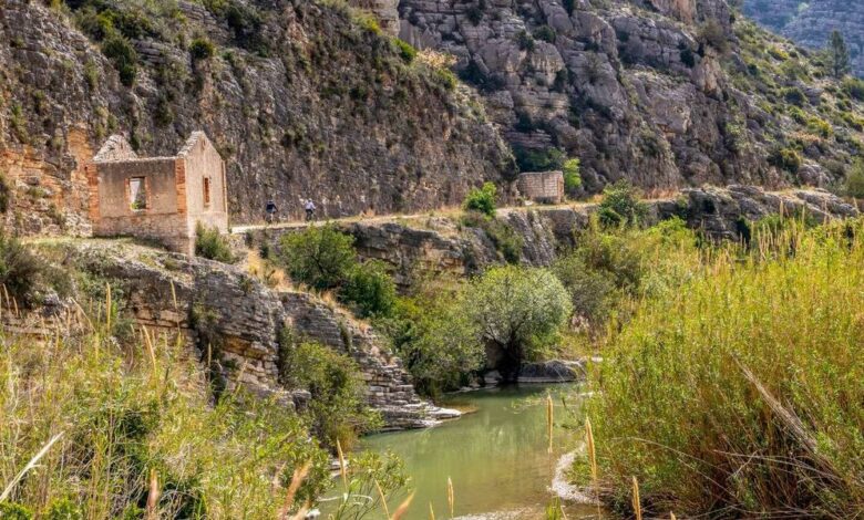 Autumn Route in Valencia – Villalonga and Its Green Trail among Tunnels and Ancient Castles