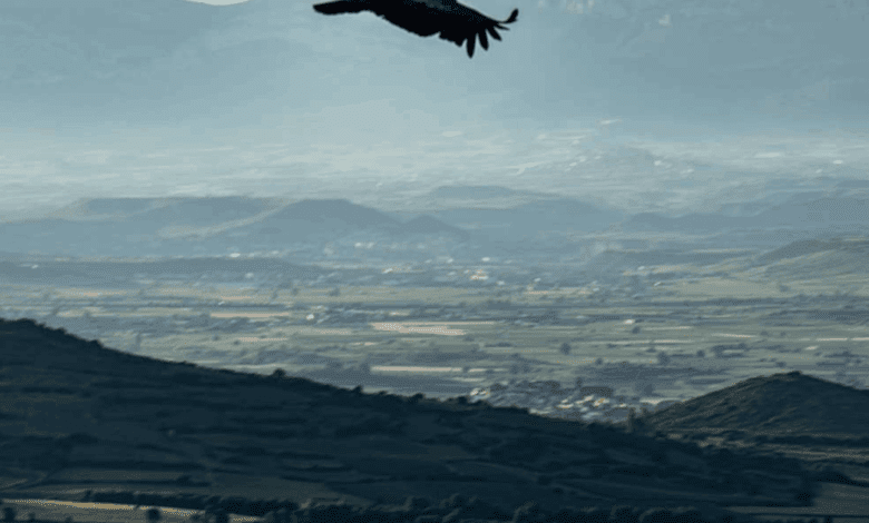 An Unknown Natural Balcony Near Logroño Reveals a New Side of La Rioja