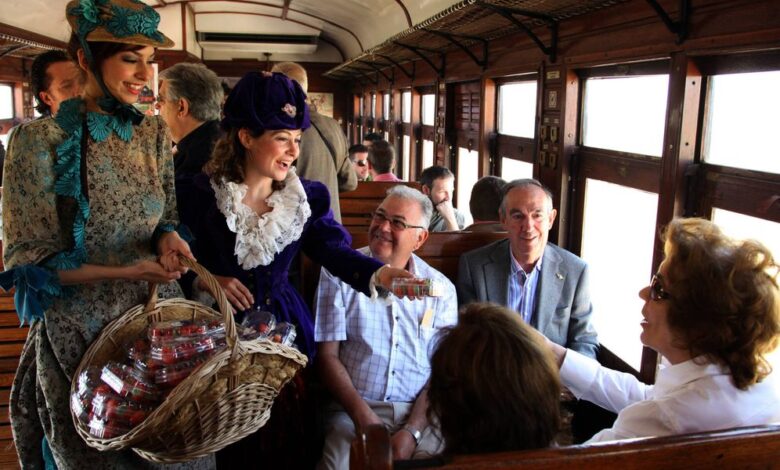 Autumn Route Near Madrid: The Strawberry Train Returns With a Pumpkin Field