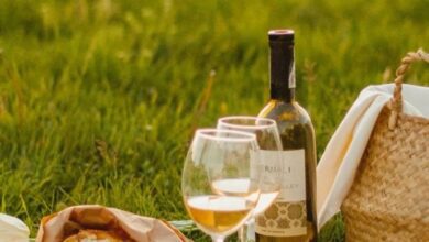 Сбор винограда в Ла-Манче: как регион предлагает эксклюзивный отдых