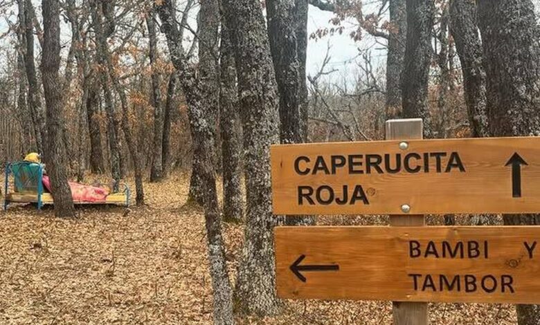 En León crean la ruta peatonal perfecta para familias con niños