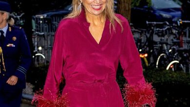 Королева Максима вновь делает ставку на испанскую моду на гала-ужине в Нидерландах