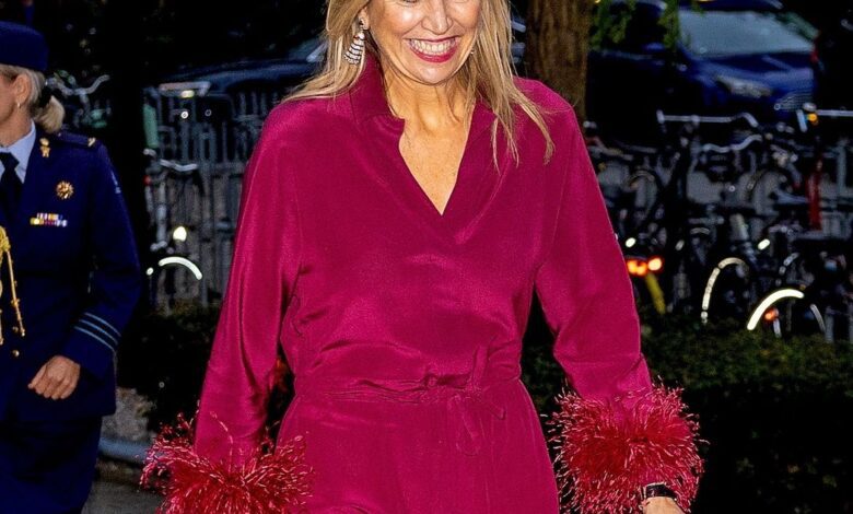 Queen Máxima Once Again Opts for Spanish Fashion at Gala Dinner in the Netherlands