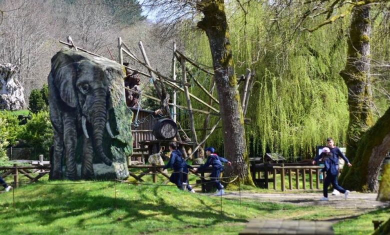 Un centro natural único en Galicia: el nuevo hogar para animales salvajes rescatados