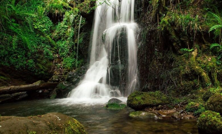 Секретный маршрут Кантабрии – затерянные водопады и буковые леса вдали от толп туристов