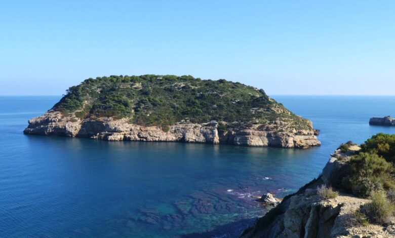 A Private Nature Reserve Island in Alicante Holds Roman Secrets and Rare Flora