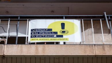 В Валенсии появятся камеры и радар для контроля уровня воды в Турии