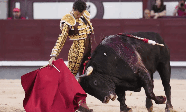 В Конгрессе Испании не поддержали отмену особого статуса корриды