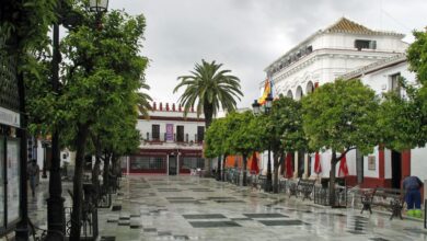 Где жить в Альмонте: сравнение районов