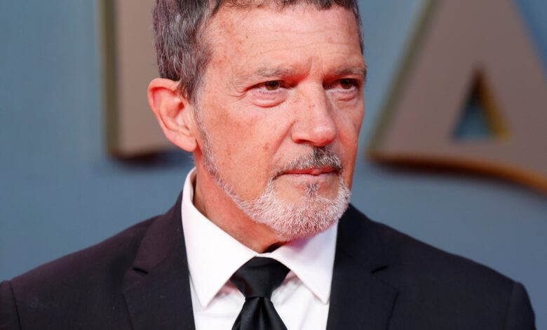 Antonio Banderas Builds New Palace in Marbella After Old House Demolished