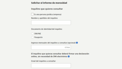 Проверка арендаторов: как узнать о долгах и внести жильца в реестр должников