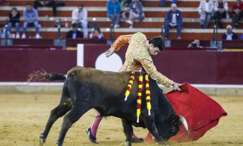 Zaragoza acogerá una corrida para jóvenes toreros de Aragón