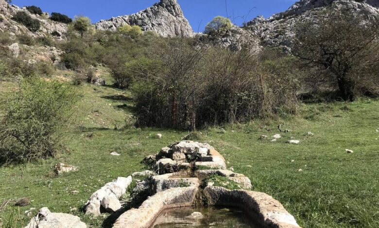 Ruta de senderismo imprescindible en Málaga para la temporada de otoño: dificultad moderada y belleza montañosa