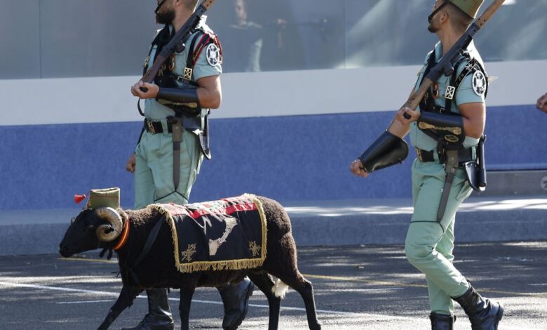В Мадриде на параде 12 октября Легион сменил козу на барана