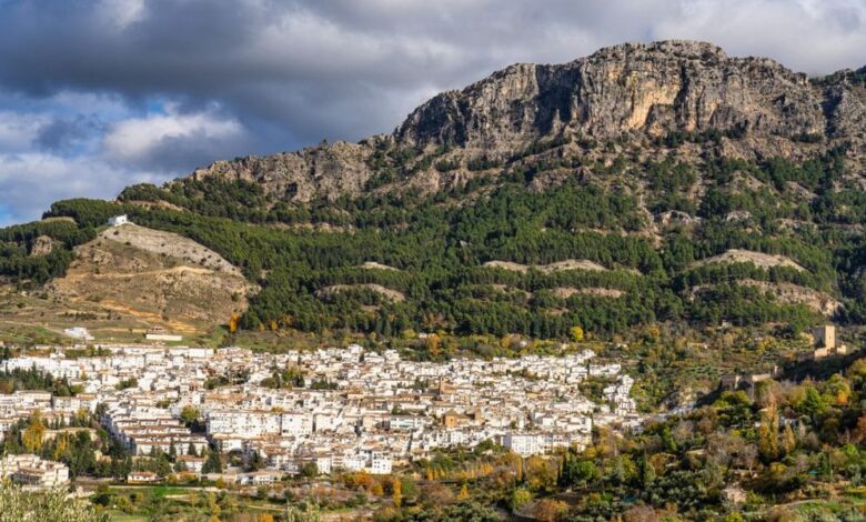 Jaén: The Greenest Province in Spain and Europe’s Castle Capital