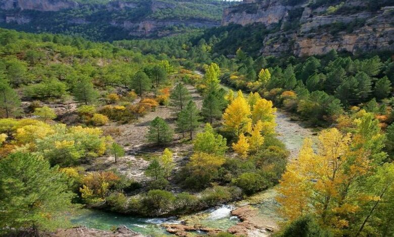 Alto Tajo Natural Park in Castilla-La Mancha Marks 25th Anniversary