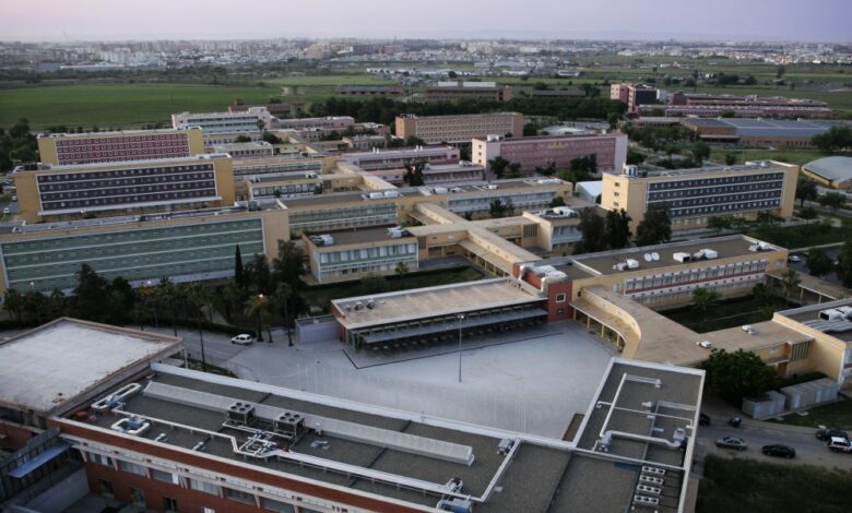 Best Neighborhoods in Seville for Students and Housing Tips