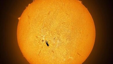 Редкий кадр: парашютист пересекает солнечный диск в объективе астрофотографа