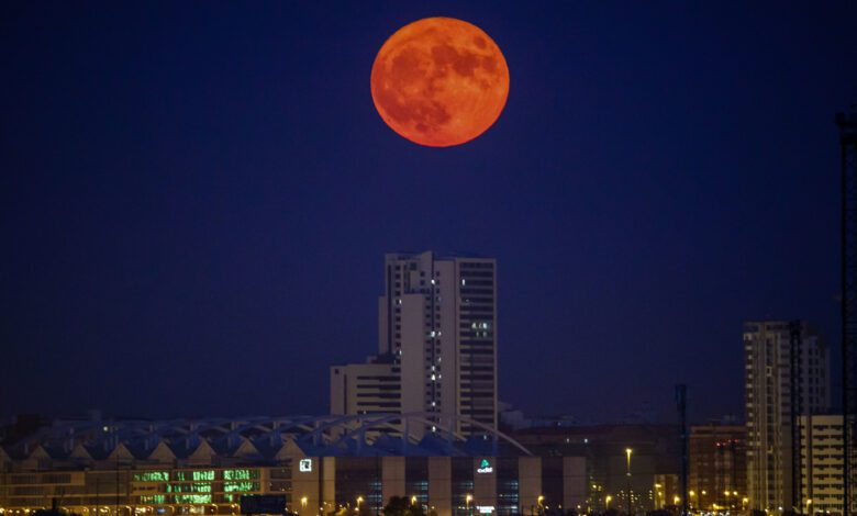 Cuándo ver la Luna del Castor en España en noviembre de 2025