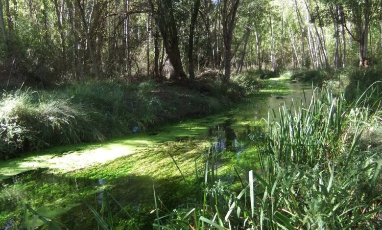 The Best Autumn Route in Castilla-La Mancha: A Journey Through Canyons and Waterfalls