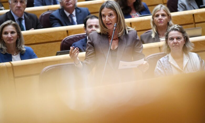 Spanish Senate Prepares Law Changes to Combat Illegal Housing Occupation