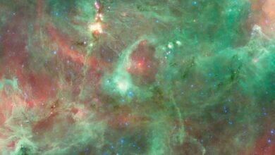 Астрономы обнаружили уникальное космическое кольцо в созвездии Лебедя размером 20 световых лет