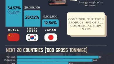 Какие страны лидируют в мировом судостроении в 2024 году по тоннажу новых судов