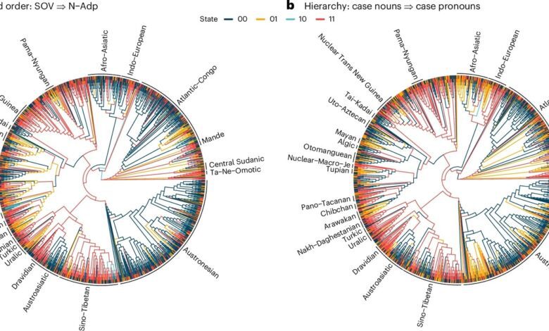 Landmark Study Reveals Patterns and Exceptions in the Grammar of 2,430 World Languages