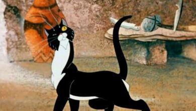 Генетики раскрыли неожиданные маршруты расселения домашних кошек по Евразии за последние 2000 лет