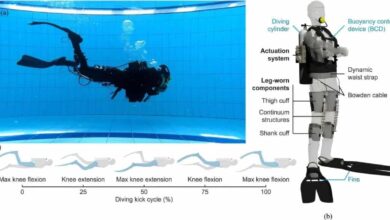 В Китае создали экзоскелет для дайверов который снижает усталость и экономит воздух